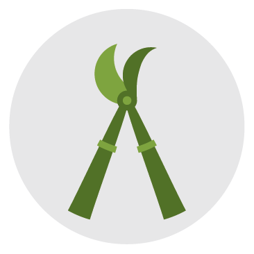 pruning bed cleanup icon large