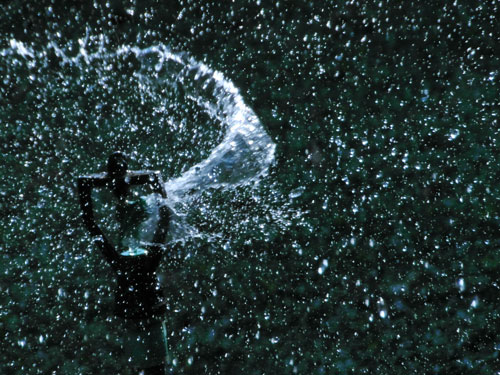 garden sprinkler garden sprinkler