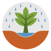 Rain Garden Icon Rain Garden Icon