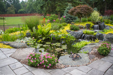 water garden water garden