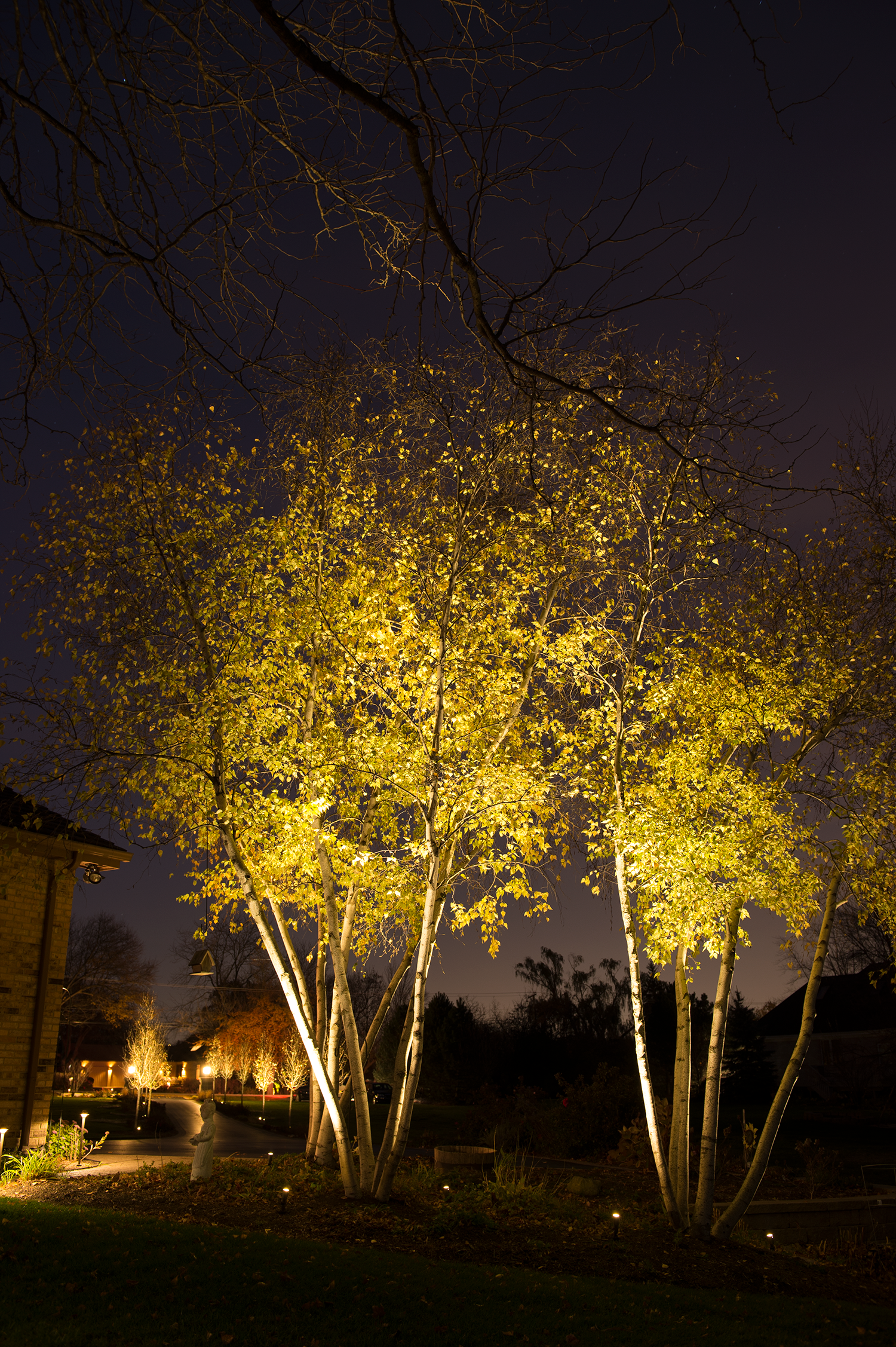 inspirational_image_3 Landscape Lighting Services
