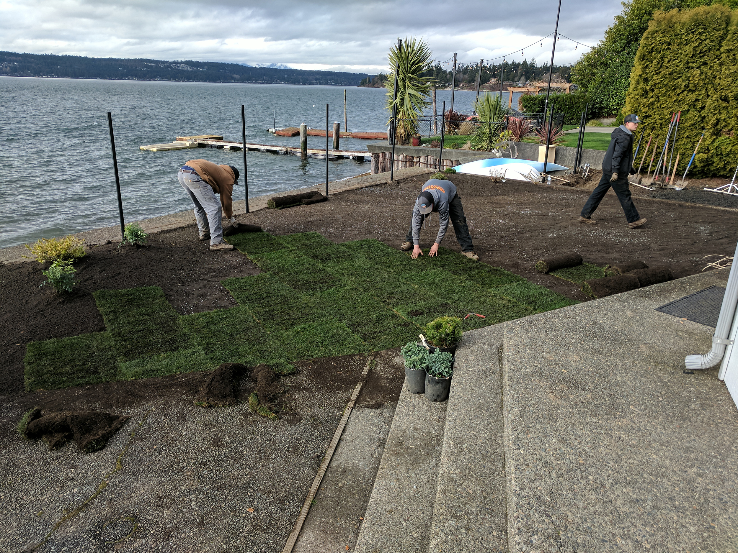 Lawn Installation Services Lawn Installation Services