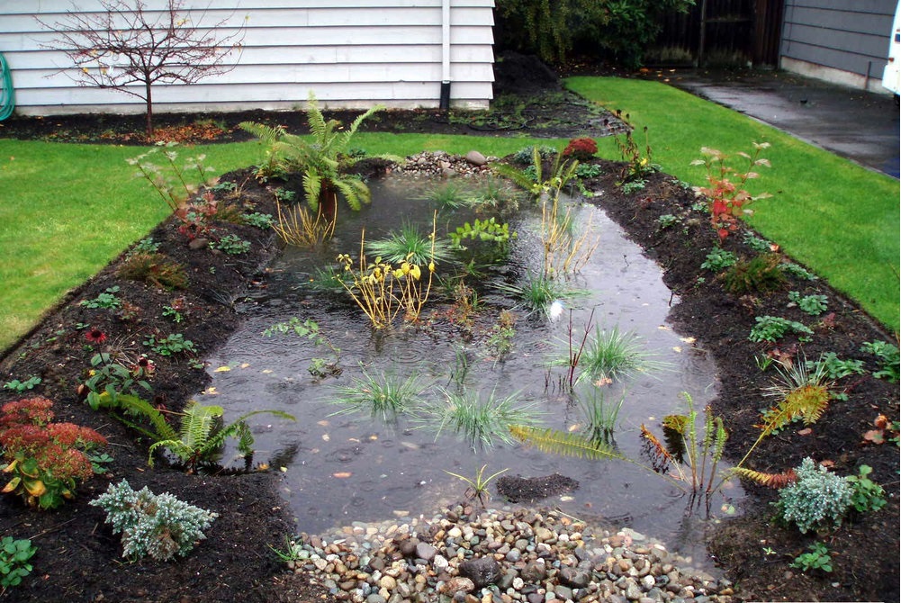 Irrigation Maintenace Irrigation Maintenace