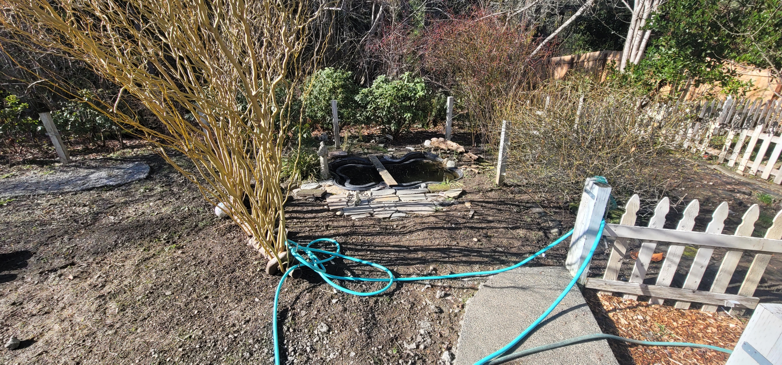 Natural Eco Before