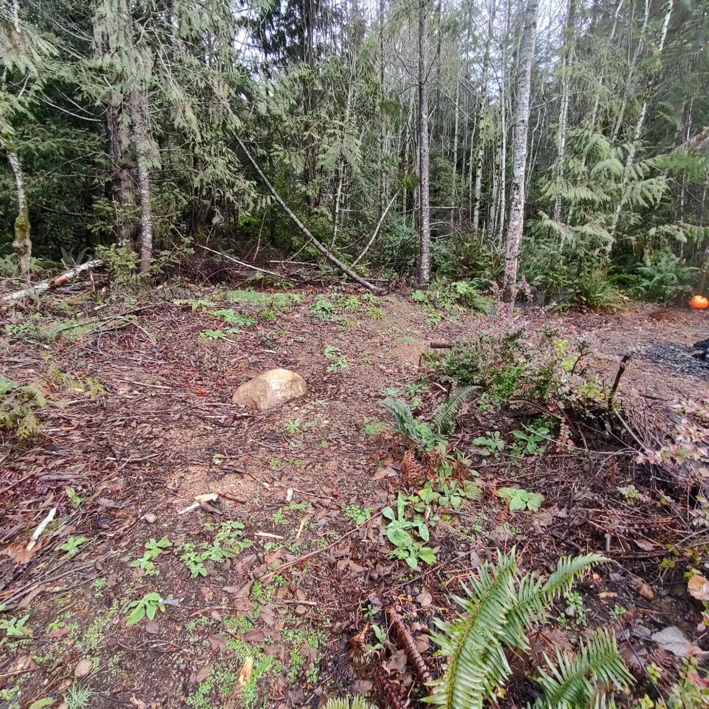 silverdale-before-5
